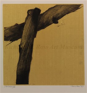 Image description is not available for 2009.012